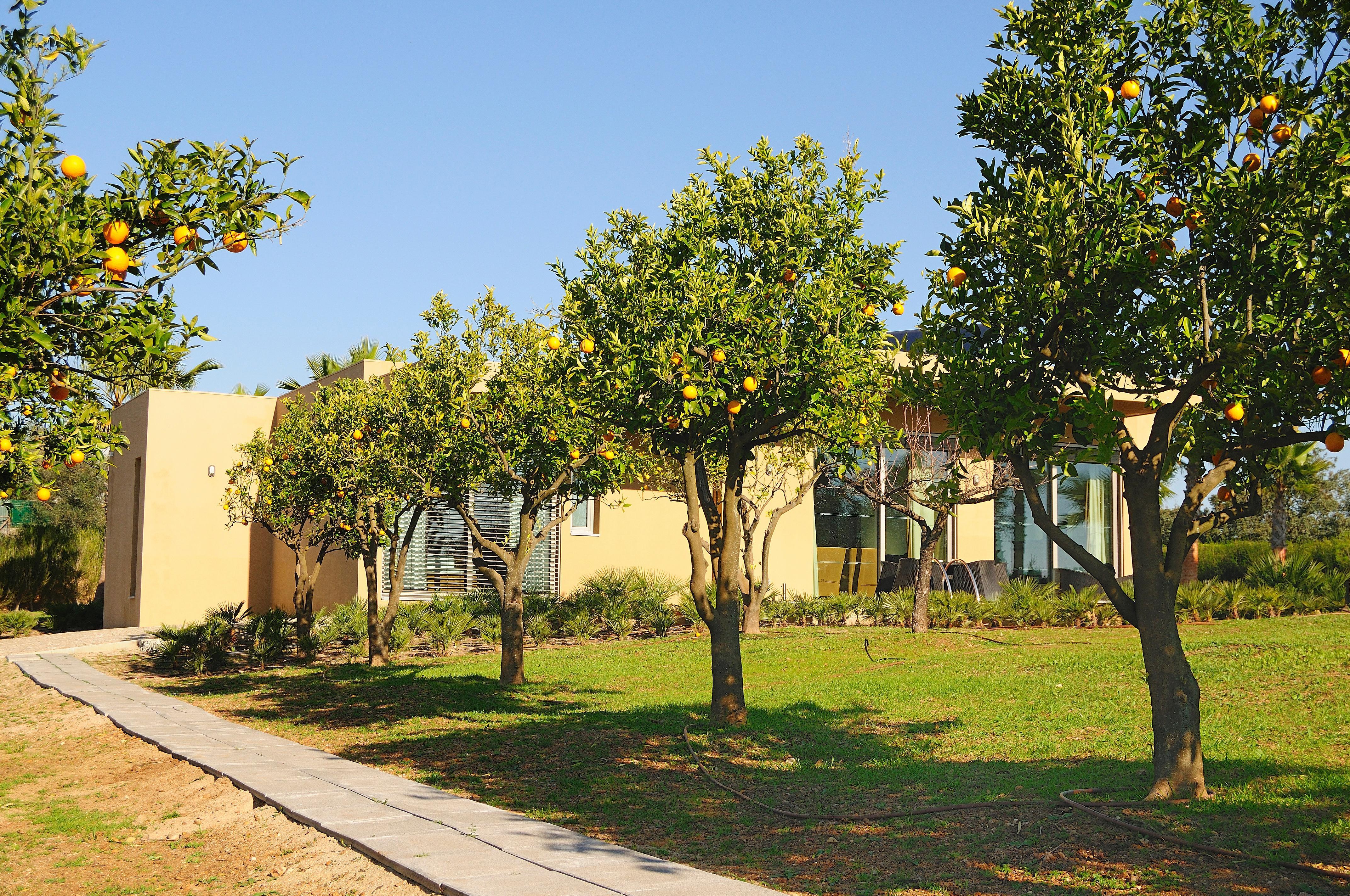Montargil Monte Novo Hotel Екстериор снимка